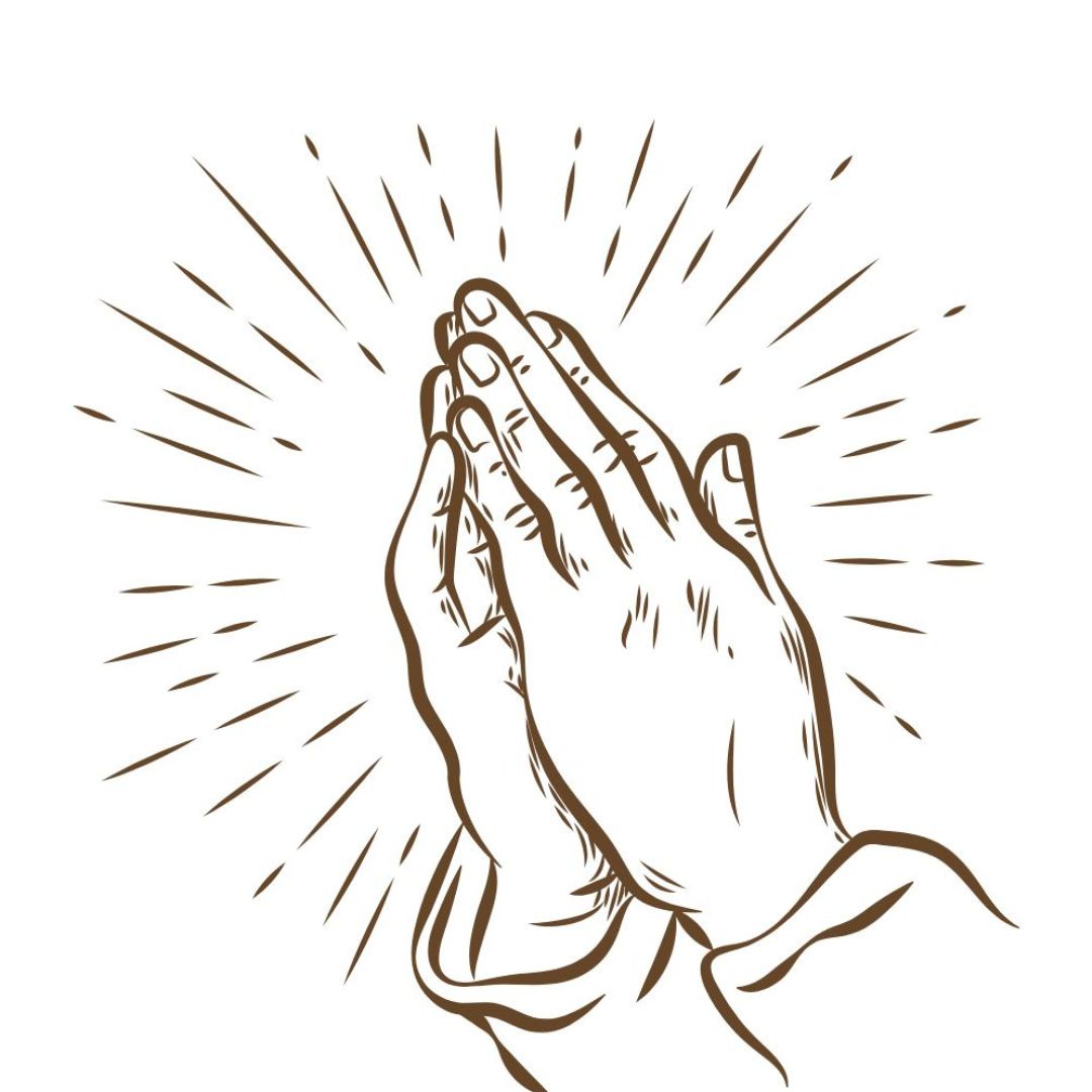 템플릿 29