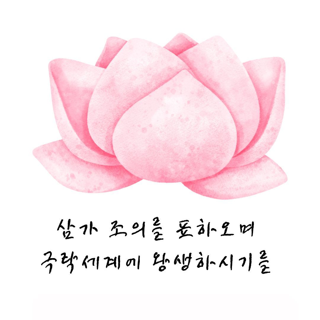 템플릿 31