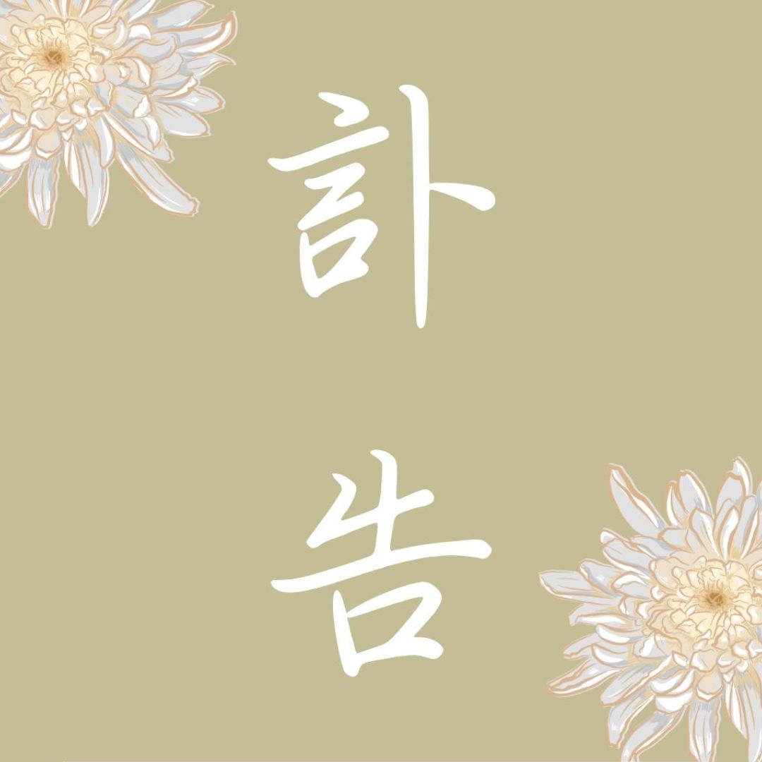 템플릿 5
